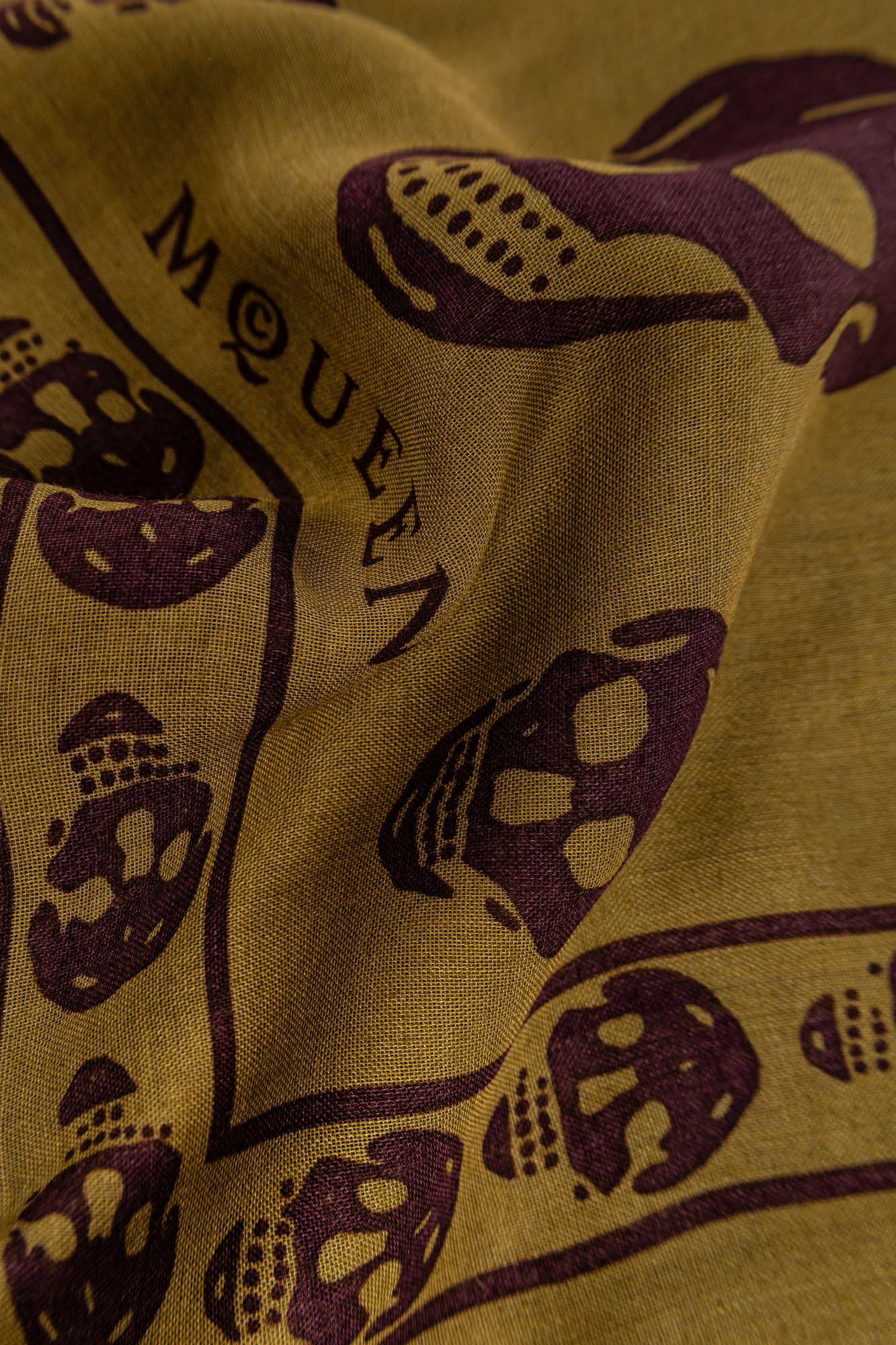 Alexander McQueen Scarf with a distinctive skull motif | Men's